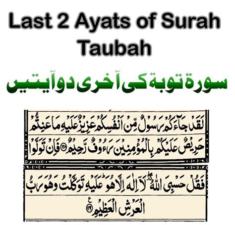 surah tauba|More.